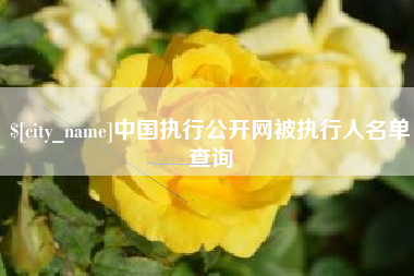锡林郭勒中国执行公开网被执行人名单查询