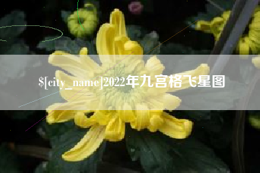 锡林郭勒2022年九宫格飞星图