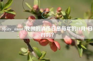 锡林郭勒我国的消防日是每年的11月9日对吗？