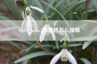 锡林郭勒九宫格怎么排版