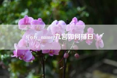 锡林郭勒九宫如何排日