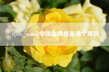 锡林郭勒中国金牌都是哪个项目