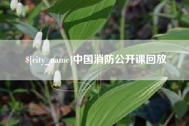 锡林郭勒中国消防公开课回放