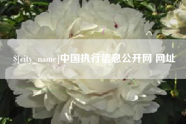 锡林郭勒中国执行信息公开网 网址