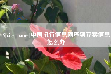 锡林郭勒中国执行信息网查到立案信息怎么办