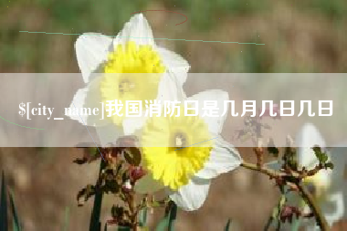 锡林郭勒我国消防日是几月几日几日