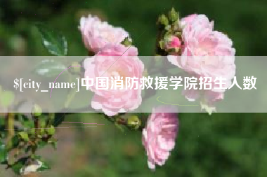 锡林郭勒中国消防救援学院招生人数