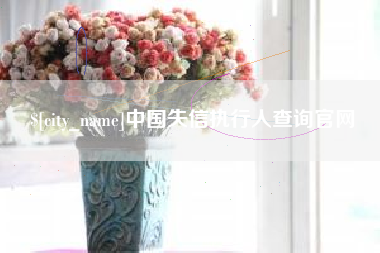 锡林郭勒中国失信执行人查询官网