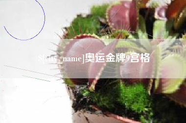 锡林郭勒奥运金牌9宫格