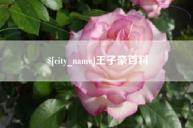 锡林郭勒王子豪百科
