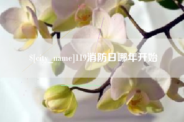 锡林郭勒119消防日哪年开始