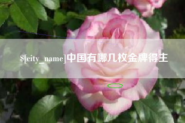 锡林郭勒中国有哪几枚金牌得主