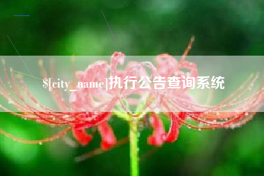 锡林郭勒执行公告查询系统