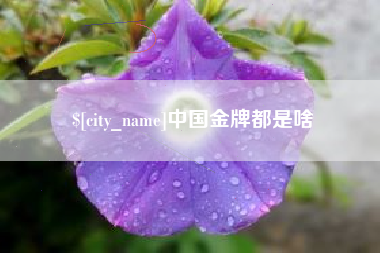 锡林郭勒中国金牌都是啥