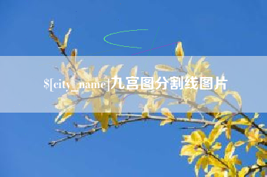 锡林郭勒九宫图分割线图片