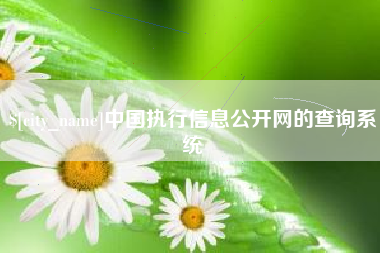 锡林郭勒中国执行信息公开网的查询系统