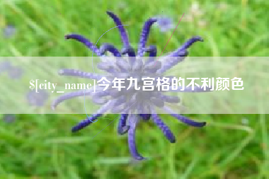 锡林郭勒今年九宫格的不利颜色