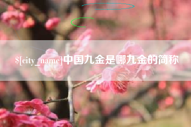 锡林郭勒中国九金是哪九金的简称