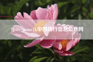 锡林郭勒1.中国执行信息公开网