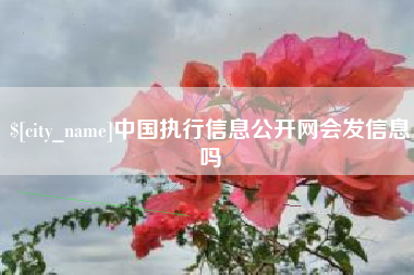 锡林郭勒中国执行信息公开网会发信息吗