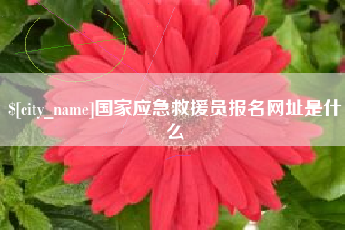 锡林郭勒国家应急救援员报名网址是什么
