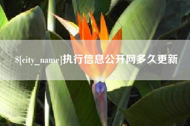 锡林郭勒执行信息公开网多久更新