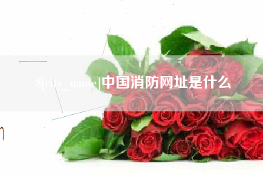 锡林郭勒中国消防网址是什么