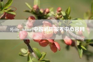 锡林郭勒中国消防报考中心官网