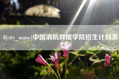锡林郭勒中国消防救援学院招生计划表