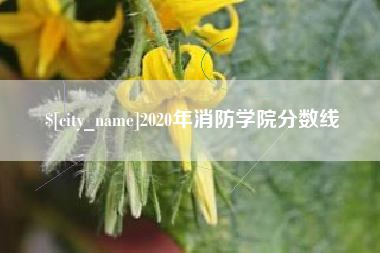 锡林郭勒2020年消防学院分数线