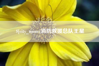 锡林郭勒消防救援总队王星