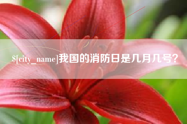 锡林郭勒我国的消防日是几月几号？