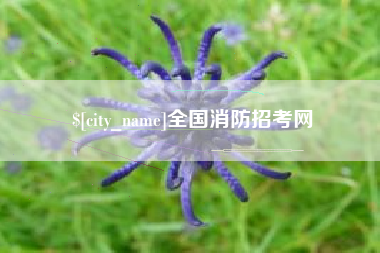 锡林郭勒全国消防招考网