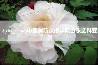 锡林郭勒中国消防救援学院山东选科要求