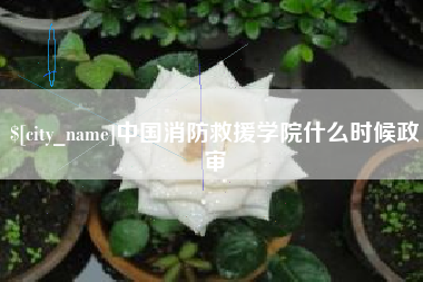 锡林郭勒中国消防救援学院什么时候政审