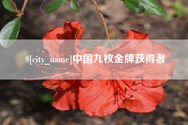 锡林郭勒中国九枚金牌获得者