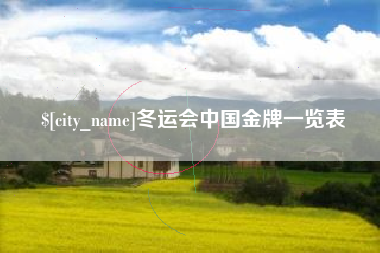 锡林郭勒冬运会中国金牌一览表