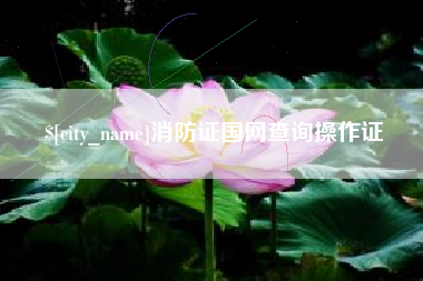 锡林郭勒消防证国网查询操作证