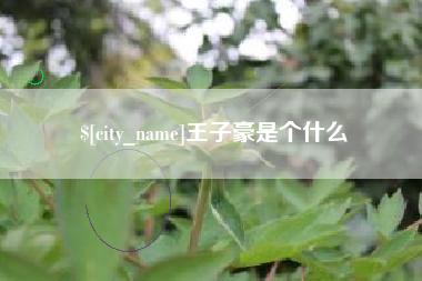 锡林郭勒王子豪是个什么