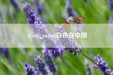 锡林郭勒白色在中国