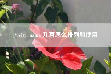 锡林郭勒九宫怎么排列和使用