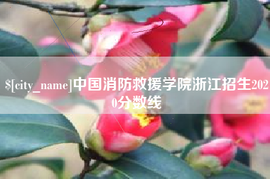 锡林郭勒中国消防救援学院浙江招生2020分数线