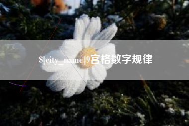 锡林郭勒9宫格数字规律