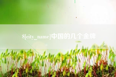 锡林郭勒中国的几个金牌