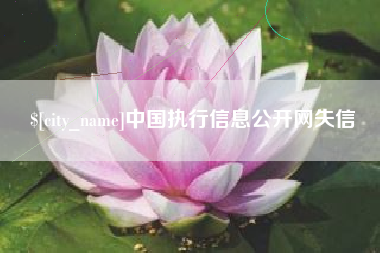 锡林郭勒中国执行信息公开网失信