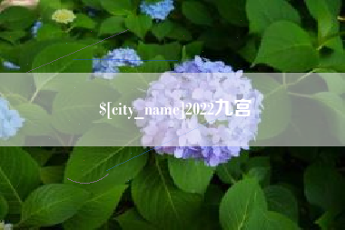锡林郭勒2022九宫