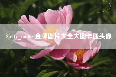 锡林郭勒金牌图片大全大图卡通头像