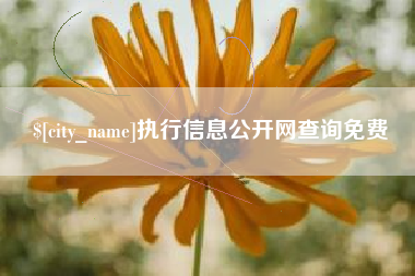 锡林郭勒执行信息公开网查询免费